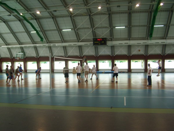 Pająk 2013